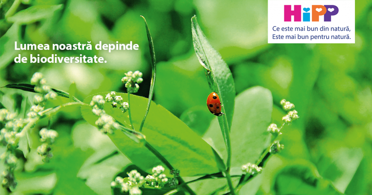 Protejați biodiversitatea!