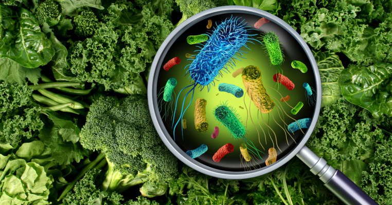 Alertă de listerioză în România! Iată care sunt alimentele de care să te ferești