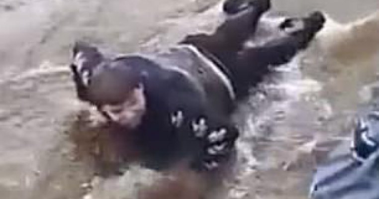 Un băiețel cu paralizie cerebrală este folosit ca pod peste o băltoacă de către colegii lui