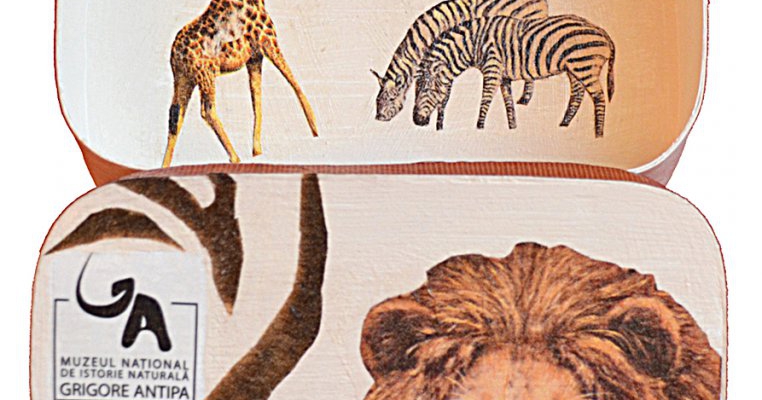 Ateliere de decoupage pentru copii si parinti
