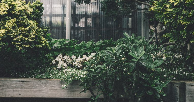 Cele mai frumoase grădini botanice din România