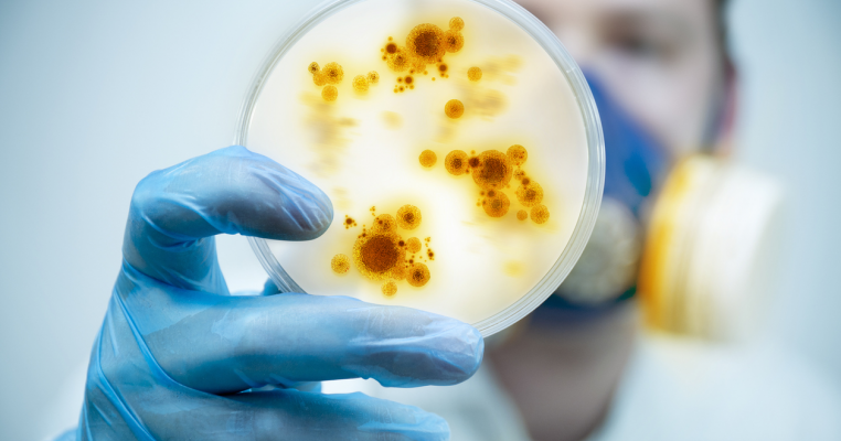 Alertă în România! Un virus periculos se răspândește necontrolat