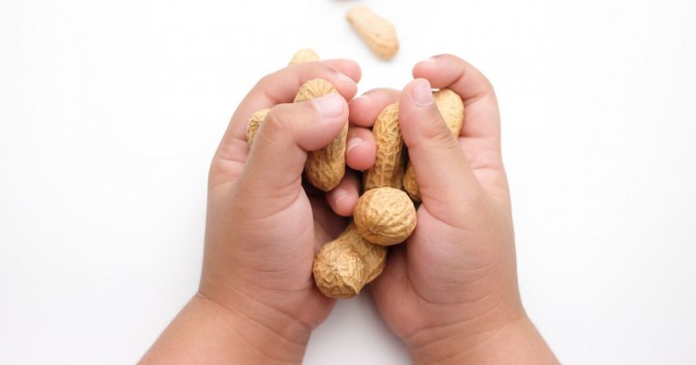 Cum introduci alunele și nucile în alimentația copilului?