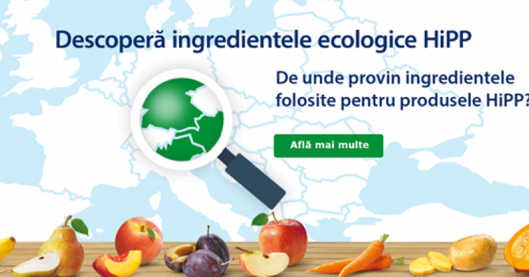 Bananele ecologice – ce este mai bun pentru copilul tău!