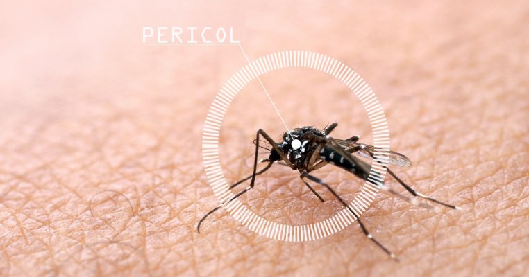 Alertă de West Nile! 3 decese și zeci de cazuri de infecție în România