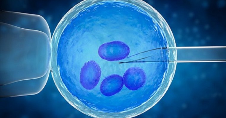 Primăria oferă bani pentru fertilizarea in vitro, pentru cupluri