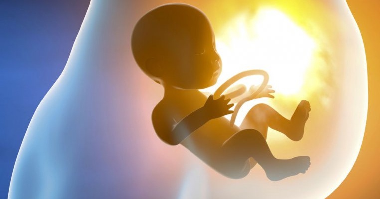Scrisoarea unui bebeluș avortat către mama lui