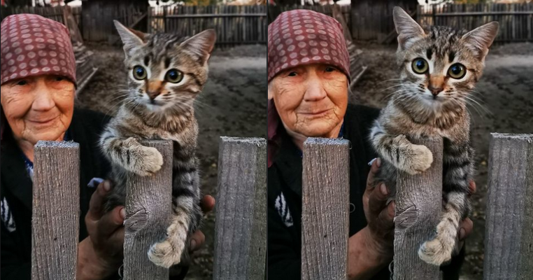 Fotografia care a înduioșat România! Simbolul bunicilor rămași singuri, părăsiți de copii și nepoți