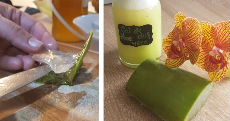 Testăm și recomandăm: Aloe Vera pentru corp, ten și păr