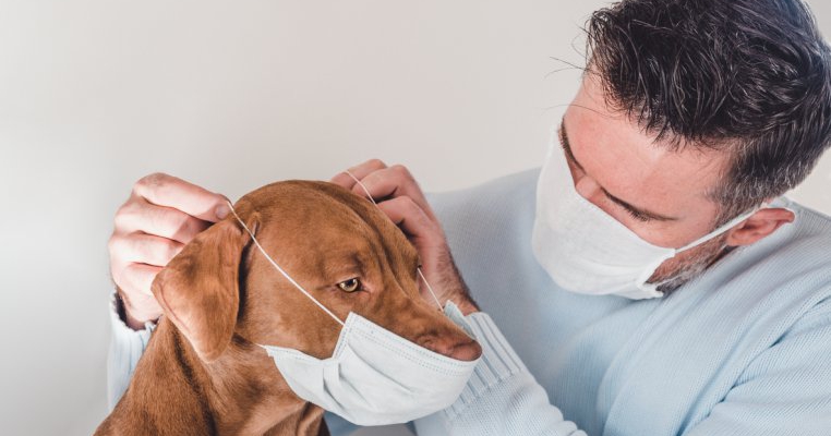 Covid-19 se transmite și la animale. Iată care sunt cele mai vulnerabile și cum le poți proteja