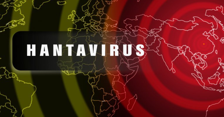 Hantavirus: ce este, ce simptome anunță boala și când poate fi mortală?
