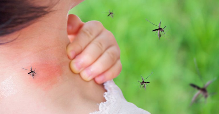 Țânțarii pot să transmită infecția cu coronavirus?