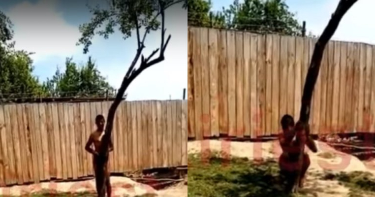 Imagini inumane în Vaslui: o mamă și-a legat cu lanțuri fiul de un copac, gol, fără apă, în plin soare