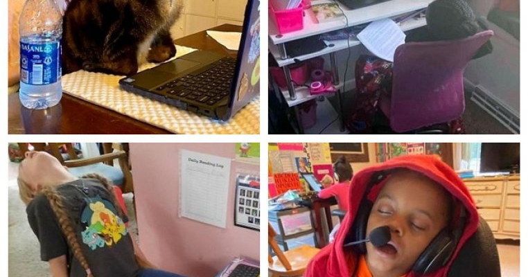 Top 10 cele mai amuzante poze cu elevi care învaţă online