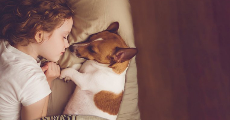 Cum sa-ti ajuti copilul sa depaseasca moartea animalului de companie