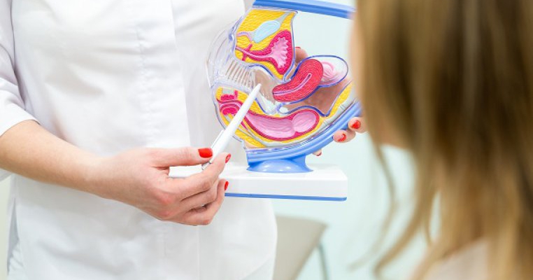 Incredibil, dar adevărat! Sute de femei nu știu unde este localizat vaginul