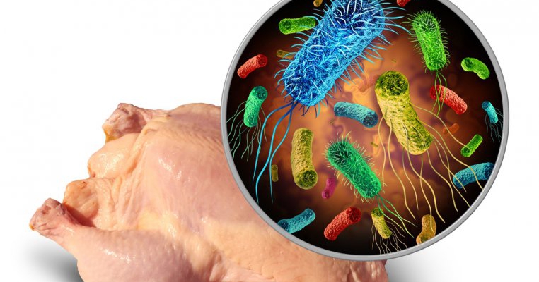 Alertă alimentară! Tone de carne de pui contaminate cu salmonella retrase din magazinele din România