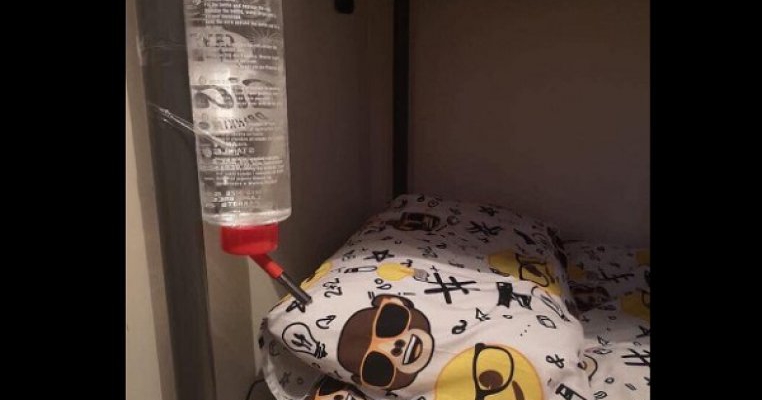 Fiul ei îi cerea mereu apă noaptea. Așa că a instalat o adăpătoare pentru hamsteri la marginea patului
