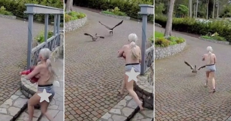Viața de mamă: filmată cum, în timp ce alăptează, își salvează gâsca de un vultur
