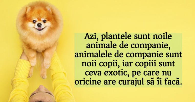 Părinte de copil Vs. Părinte de animăluț. Pot fi oare comparate?