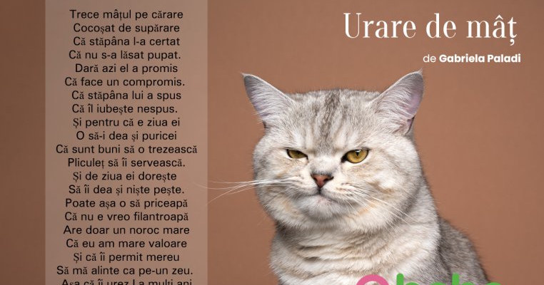 Urare de mâț