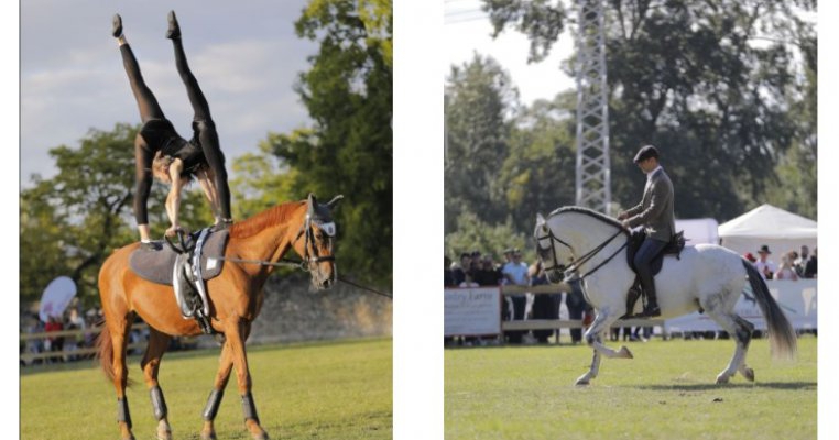 Karpatia Horse Show 2022: șapte premii pentru România, 15 mii de spectatori și o atmosferă chic!