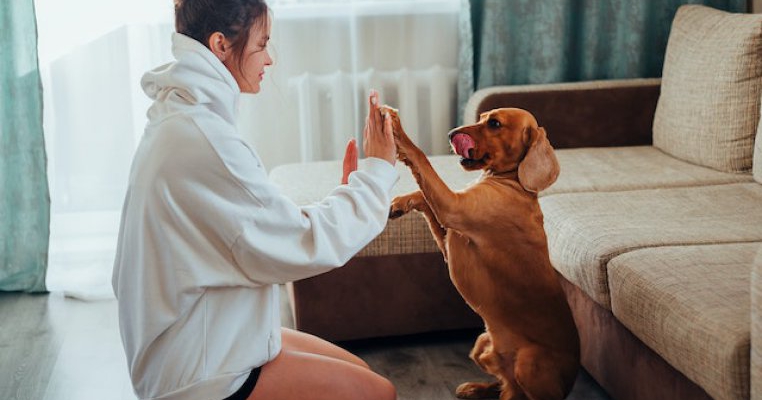 Este normal să-ți iubești animalul de companie mai mult decât copilul?