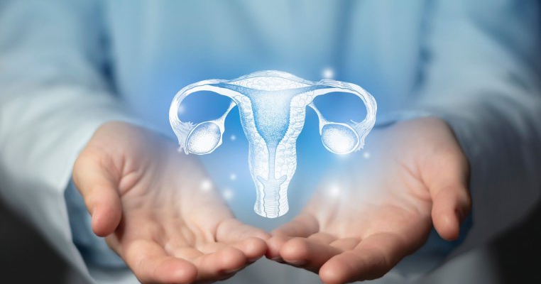 Ce este transplantul de uter? Cine poate fi donator și care sunt riscurile?