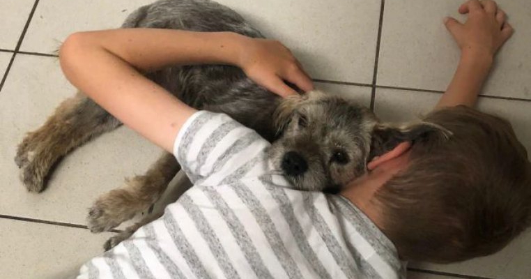 Copiii mei au stat cu câinele familiei până a murit. Este parte din procesul vieții