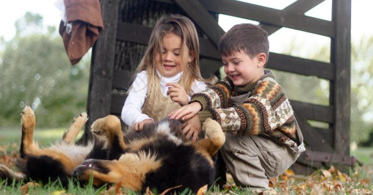 Viața de familia cu un câine de talie mare - tot ce trebuie să știi