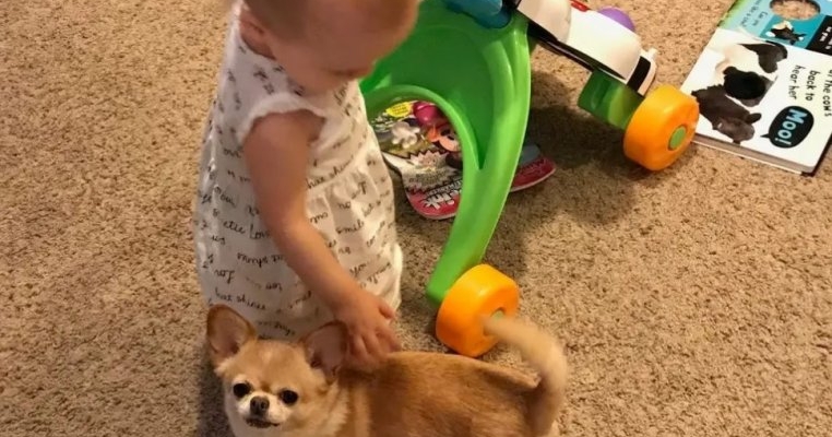 Fiica mea a plâns moartea cățelului nostru timp de trei ani și eu nu am fost pregătită pentru asta…