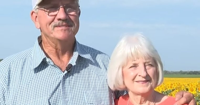 Așa arată iubirea pură! A plantat 1 milion de floarea-soarelui pentru aniversarea celor 50 de ani de căsnicie cu soția lui