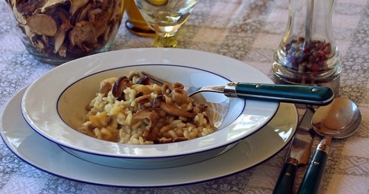 Mi-am dat soacra afară din casă după ce am aflat că i-a dat ciuperci fiicei mele, știind că micuței nu îi plac deloc!