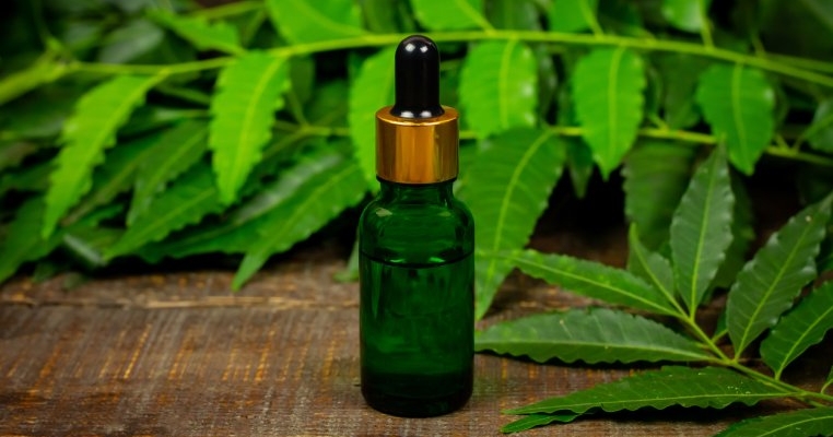 Ulei de neem: beneficii și mod de utilizare