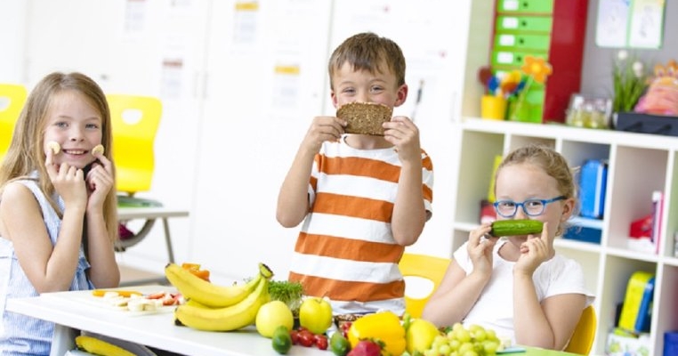 Proiect de introducere a unei noi discipline in scoli - educația nutrițională menită să combată obezitatea infantila