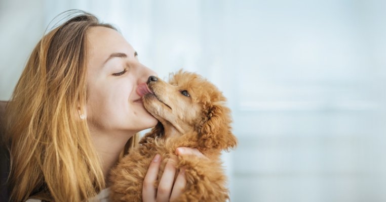 Ce simt câinii când îi pupi și alte explicații care te vor ajuta să îți înțelegi animalul de companie