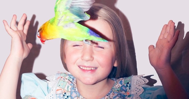 Papagalul - prietenul și animalul de companie perfect al unui copil cu autism?