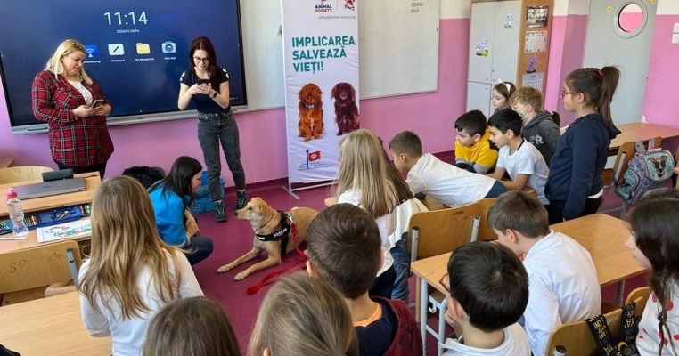 Iubirea și grija față de animale va fi predată în școlile din Ilfov: inițiativa aparține celor de la Animal Society