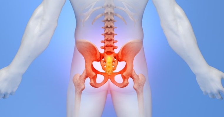 Osul sacru: ce este și ce rol are în organism