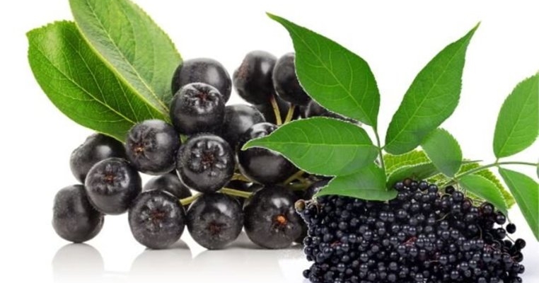 Controlul glicemiei și imunitate de fier cu aronia și soc