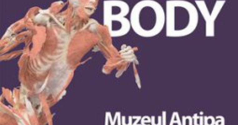 Expozitia The Human Body - Reactie la scrisoare deschisa  adresata Muzeului Antipa de catre asociatia PRO Vita
