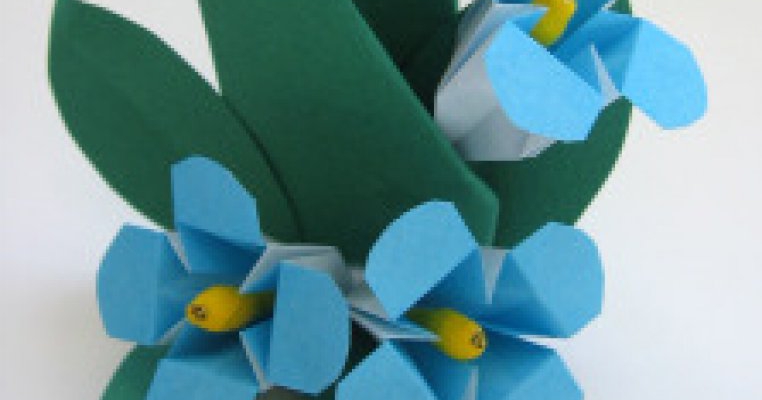 MiniMe Independent si MiniMe Origami la Centrul MiniMe al Fundatiei Nadia Comaneci