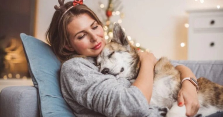 Pericole de Crăciun pentru căței - de ce cățeii pot deveni agresivi în perioada sărbătorilor?