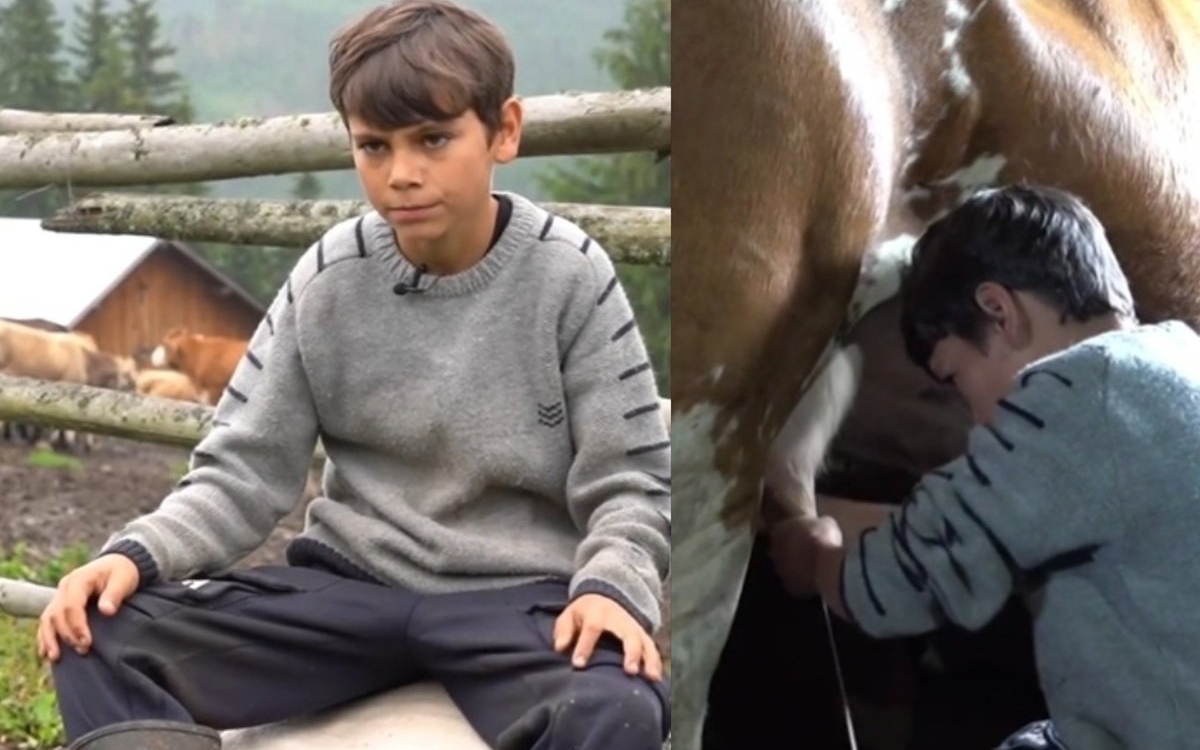 Sebi, un copil în clasa a 7-a, se trezește zilnic la trei dimineața și are grijă de animale. Trăiește în condiții grele alături de cei patru frați ai lui