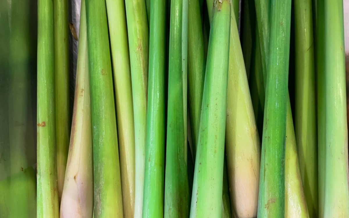 Lemongrass: beneficii și mod de utilizzare