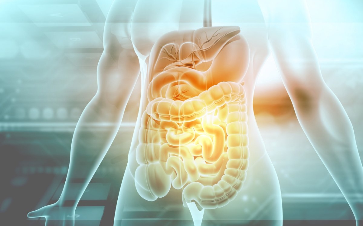 Pepsina: beneficii și mod de utilizare