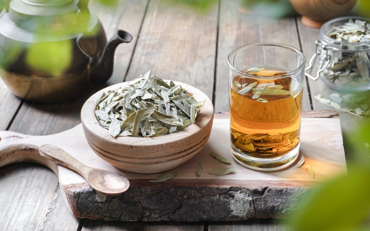 Ceai de senna: cum îl prepari și ce beneficii are