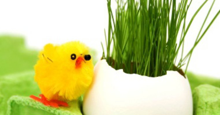 3 activitati practice pentru copii, inspirate din pedagogia Montessori