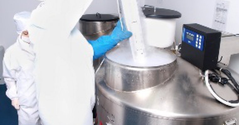 Preluare importanta pe piata bancilor de celule stem din Romania - BIOGENIS a preluat activitatea FREEZLIFE