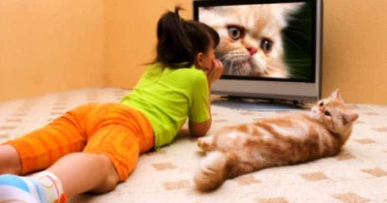 Copilul meu si televizorul: Cum ii afecteaza creierul si dezvoltarea